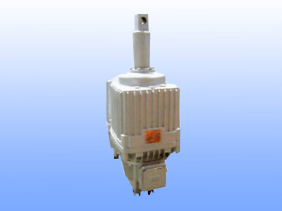 ED系列電力液壓推動器